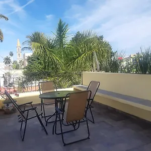 Aguacate Mazatlán
